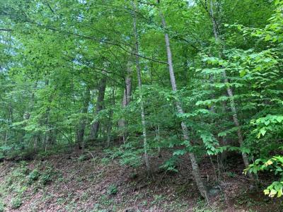 Lot 43 White Oak, Hiawassee, 喬治亞州 30546, 美國