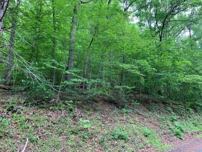 Lot 43 White Oak, Hiawassee, 喬治亞州 30546, 美國