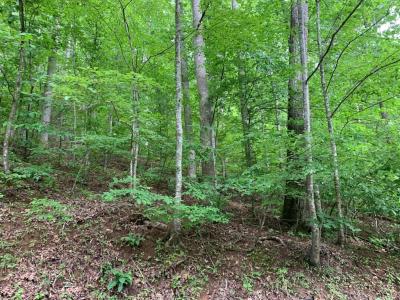 Lot 43 White Oak, Hiawassee, 喬治亞州 30546, 美國