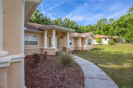 2330 W Dolphin Drive, Citrus Springs, Florida 34434, Stati Uniti