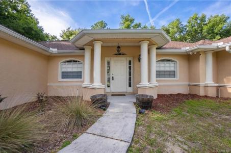 2330 W Dolphin Drive, Citrus Springs, Florida 34434, Stati Uniti