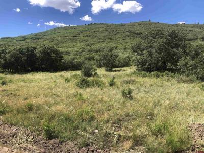 Lot 61 Road H.4, Dolores, Colorado 81323, USA