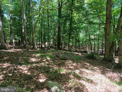 Lot 40 Wild Apple Lane, Paw Paw, WV 25434, USA
