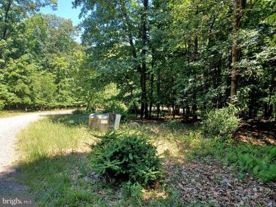 Lot 40 Wild Apple Lane, Paw Paw, Virgínia Ocidental 25434, Estados Unidos