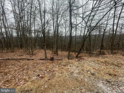 Lot 40 Wild Apple Lane, Paw Paw, Virgínia Ocidental 25434, Estados Unidos