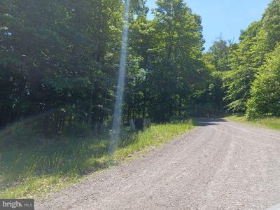 Lot 40 Wild Apple Lane, Paw Paw, WV 25434, USA