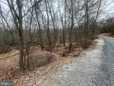 Lot 40 Wild Apple Lane, Paw Paw, Virgínia Ocidental 25434, Estados Unidos