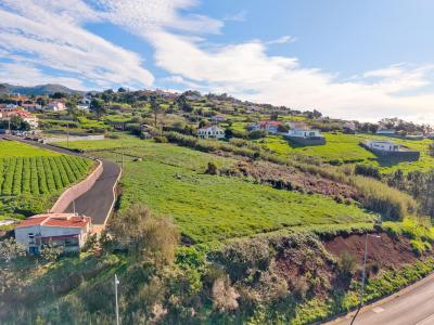 Calheta, Madeira 9370-601, Portugal