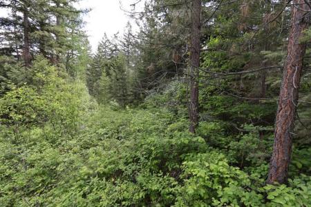 NHN Tract 1B E Fork Combest Creek Road, Plains, 蒙大拿州 59859, 美国