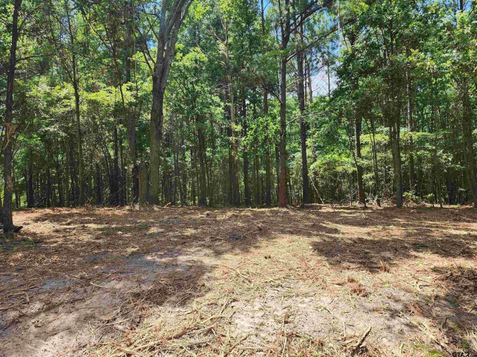 TBD CR 4114 22.22 Acres, Hughes Springs, Texas 75656, HOA KỲ