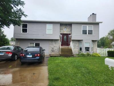 5102 Stacey Drive, Granite City, Illinois 62040, USA