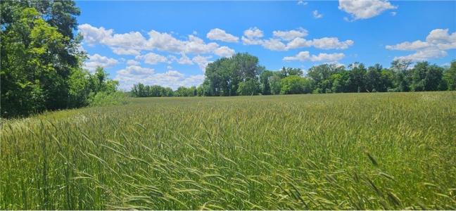 617th Avenue, Watkins, Minnesota 55389, USA
