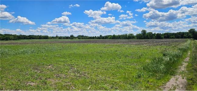 617th Avenue, Watkins, Minnesota 55389, HOA KỲ