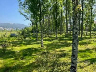 Penafiel, Porto 4560-750, Portugal