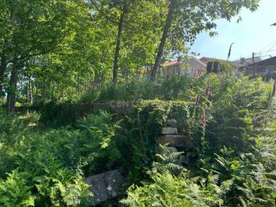 Penafiel, Porto 4560-750, Portugal