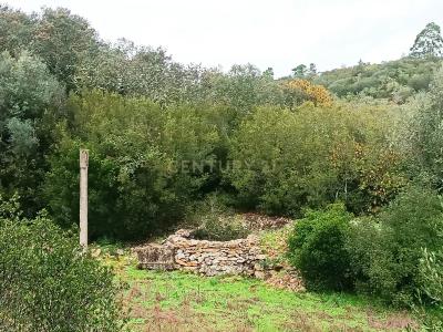 Ourém, Santarem 2495-302, Portugal