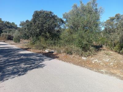 Ourém, Santarem 2495-302, Portugal