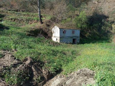 Amarante, Porto 4600-570, Portugal