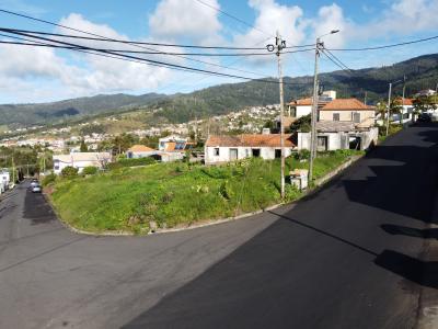 Calheta, Madeira 9370-702, Portugal