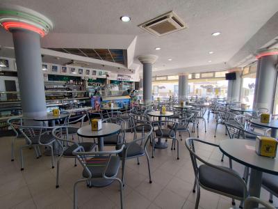 Torres Vedras, Lisboa 2560-499, Portugal