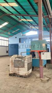 Urbana Candelaria, Carabobo 00001, Венесуэла