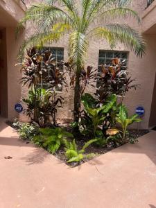 10690 NW 14th Street #136, Plantation, Floryda 33322, USA