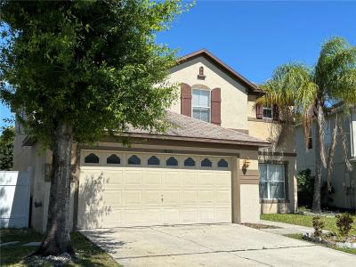 2872 Paynes Prairie Circle, KISSIMMEE, Florida 34743, Stati Uniti