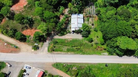 Ojochal Puerto Cortés Osa, Puntarenas 00001, Costa Rica