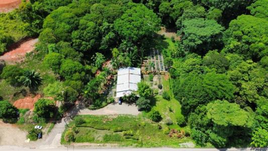 Ojochal Puerto Cortés Osa, Puntarenas 00001, Costa Rica