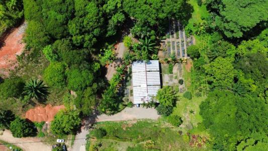 Ojochal Puerto Cortés Osa, Puntarenas 00001, Costa Rica