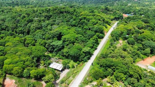 Ojochal Puerto Cortés Osa, Puntarenas 00001, Costa Rica