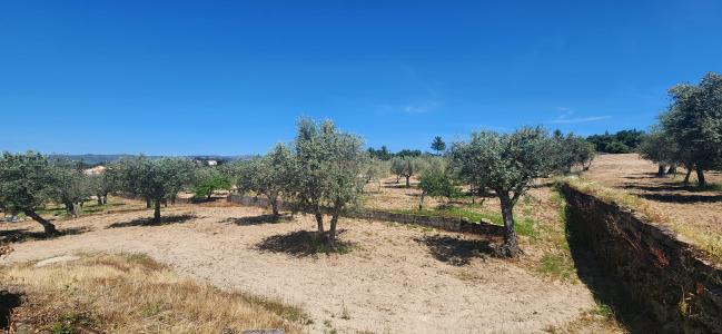 Celorico Da Beira, Guarda 6360-020, Portugal