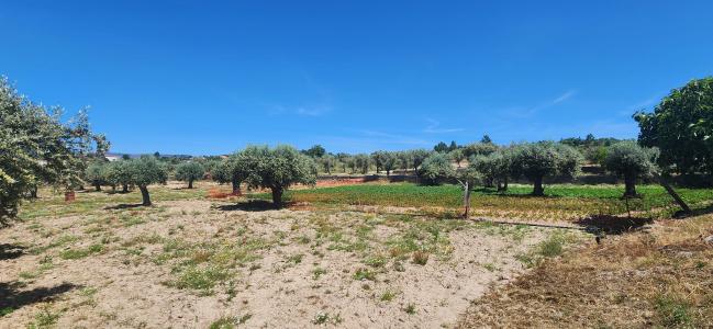Celorico Da Beira, Guarda 6360-020, Portugal
