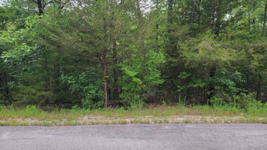 Lot 13 Block 1 Hualapi Drive, Cherokee Village, Arkansas 72529