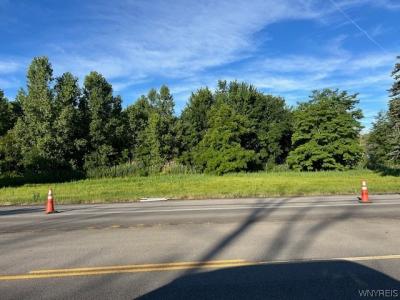 VL Niagara Falls Blvd, Wheatfield, 紐約州 14304, 美國