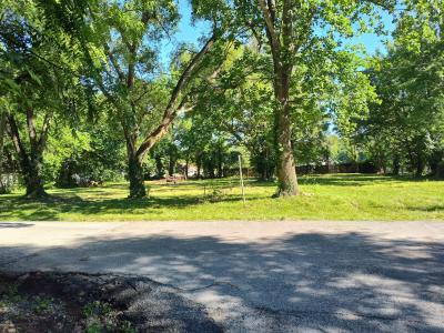 1114 &1116 E Chestnut Street, Bolivar, Missouri 65613