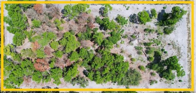 476 Donohue Drive, Venus, Florida 33960, Stati Uniti