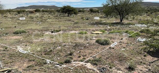 MANZANA 2 LOTE 19 lote 19,, Guadalupe, Zacatecas 98601, Mexico