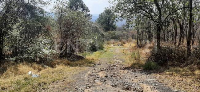 Jilotzingo, Meksika Eyaleti 54570, Meksika