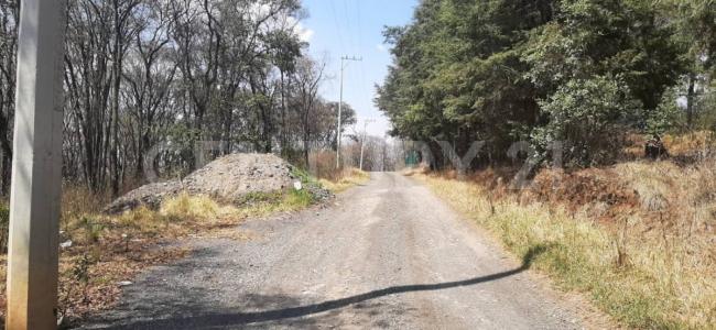 Jilotzingo, Meksika Eyaleti 54570, Meksika