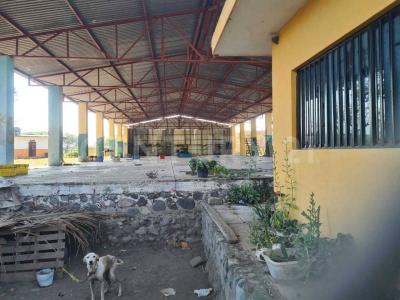 Coquimatlan, Colima 28400, Mexico