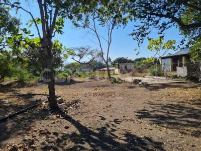 Coquimatlan, Colima 28400, Mexico