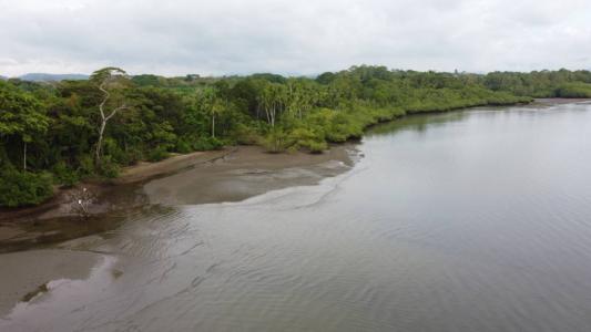 Puerto Jiménez Puerto Jiménez Golfito, Puntarenas 00001, Kostaryka