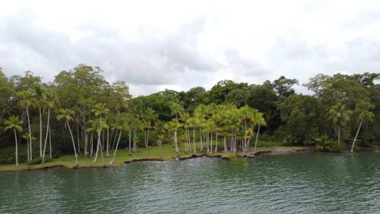 Puerto Jiménez Puerto Jiménez Golfito, Puntarenas 00001, Costa Rica