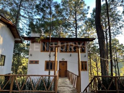 Azucena 15,, Mazamitla, Jalisco 49500, Mexico