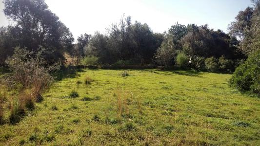 Olhão, Faro 8700-077, Portugal