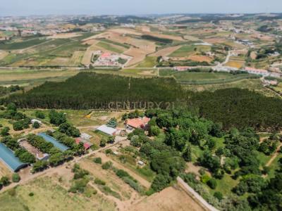 Lourinhã, 리스보아 2530-183, 포르투갈