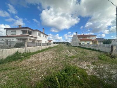 Vagos, Aveiro 3840-101, Portugal