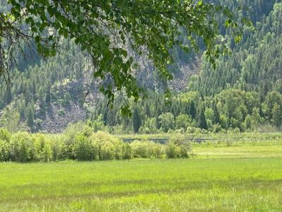 NNA (7800) Blue Lake, Preist River, Idaho 83856, HOA KỲ