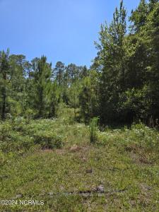 371 & 381 Elm Road, Boiling Spring Lakes, North Carolina 28461, USA